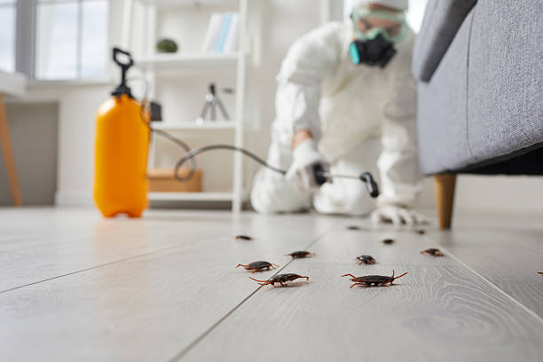 Trusted Cockroach Control service in Cabana Colony, FL - Nex Pest Control