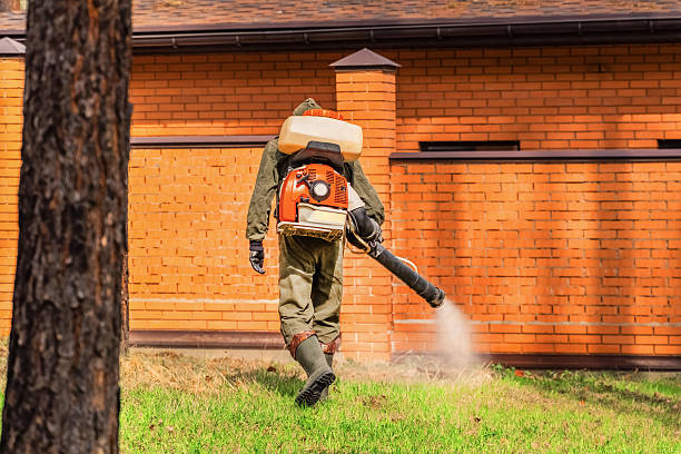 Trusted Termite Control service in Cabana Colony, FL - Nex Pest Control